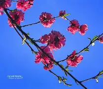 包含凲?S撌倉€?9p?m皶?FN欀$睊顡鐘编}磲bL\E|澓?|?爦鑄?U稘\)?q?fl擙熍p/n?的词条-九游